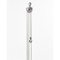 エスコ 1.0tonx2.5m チェーンブロック EA987AB-2.5A 1台（直送品）