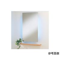 小野シャンブル 照明付ミラー 1200×700×120mm No.712 1台 68-5753-67（直送品）