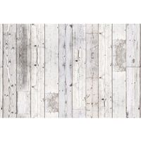 トキワ工業 溶剤系インクジェットの粘着クロス PETATTO 93×230cm 白 PTA1023 1枚 65-0302-05（直送品）