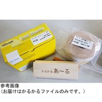 アズワン かるかるファイル あ~る マジック 75×175mm 65-2785-12 1個（直送品）