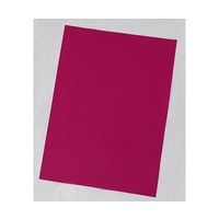 アズワン クリーンセパ(R) 赤色 #25 10枚入 65-9491-80 1袋(10枚)（直送品）