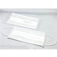 アズワン クリーンマスク 3層耳掛け 個包装 50枚入 65-9539-60 1袋(50枚)（直送品）