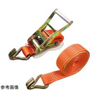 アズワン ラッシングベルト フックタイプ 固定側:0.5m 巻側:3m 67-2186-89 1本（直送品）