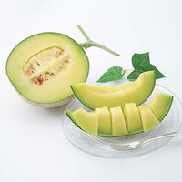 アデリー 【お中元】マスクメロン[1玉] AF-MM1.3-1N 1箱（直送品）