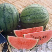 丸松青果 【お中元】山形県尾花沢産 小玉すいか[2玉] 13093111 1箱（直送品）