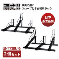 [NX X[vt]ԃX^h 3p 2Zbg EX202-03T 1iij