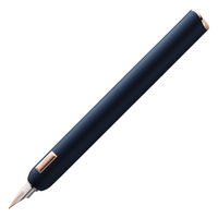 LAMY ~[ _CAOCC u[ NM F L81BLF 1{iij