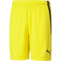 PUMA(v[}) TbJ[ vNeBXpc TEAMLIGA Q[pc M 07 705151 1Zbgi2jiij