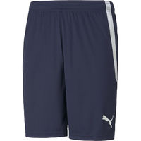 PUMA(v[}) TbJ[ vNeBXpc TEAMLIGA Q[pc XXL 06 705151 1Zbgi2jiij