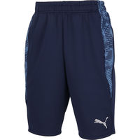 PUMA(プーマ) サッカー ハーフパンツ TEAMCUP TR HALF パンツ XXL 06 660107 1枚（直送品）
