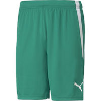 PUMA(v[}) TbJ[ vNeBXpc TEAMLIGA Q[pc S 05 705151 1Zbgi2jiij