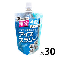 赤城フーズ 飲む氷Salty Lemonアイススラリー 80袋セット