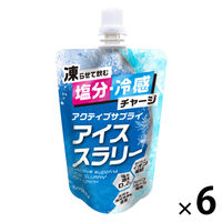 大塚製薬 ポカリスエットアイススラリー 100g 1個（6袋入
