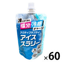 最先端 赤城フーズ 飲む氷Salty Lemonアイススラリー 80袋セット その他