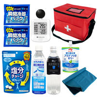 熱中症対策キット 黒球式熱中症指数計付き 9点 熱中症対策用品 暑さ対策 熱中症対策グッズ WBGT 工事現場 農作業