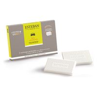 日本香堂 ＥＳＴＥＢＡＮ（エステバン）テールダグリューム　カーフレグランスリフィル２個入 3660963091285 1パック(2個入)（直送品）