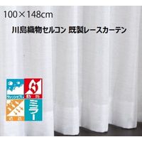 川島織物セルコン ウォッシャブル 防炎 遮熱 ミラーレースカーテン DC1014S 1000×1480mm ライトベージュ 1枚（直送品）