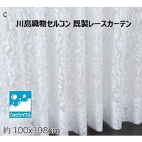 川島織物セルコン ウォッシャブル レースカーテン DC1023S 1000×1980mm クリーム 1枚（直送品）