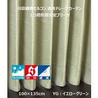 川島織物セルコン ウォッシャブル 防炎 遮光 ドレープカーテン DD1178S 1000×1350mm 1枚