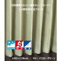 川島織物セルコン ウォッシャブル 防炎 遮光 ドレープカーテン DD1178S 1000×1780mm 1枚