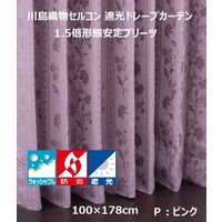川島織物セルコン ウォッシャブル 防炎 遮光 ドレープカーテン DF1123S 1000×1780mm 1枚
