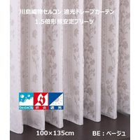 川島織物セルコン ウォッシャブル 防炎 遮光 ドレープカーテン DF1123S 1000×1350mm 1枚