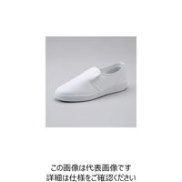 エスコ（esco） 25.5cm 静電気帯電防止作業靴 1足 EA910EA-25.5A（直送品）