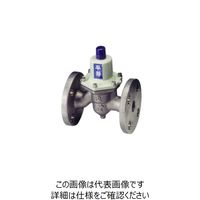 ベン RD36FーDH減圧弁 RD36FーDHー32A 1個（直送品）