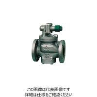 ベン RP6AーG減圧弁 RP6AーGー125A 1個（直送品）