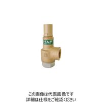 ベン SL38EーD1レリーフ弁 SL38EーD1ー50A 1個（直送品）