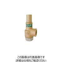 ベン SL38EーDー3レリーフ弁 SL38EーDー3ー50A 1個（直送品）