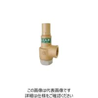 ベン SL38ENーD1レリーフ弁 SL38ENーD1ー40A 1個（直送品）