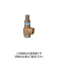 ベン SL38VーD1安全逃し弁 SL38VーD1ー40A 1個（直送品）