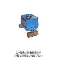 x BM12SRC[J1XvO^[{[d BM12SRC[J1[10A 1iij
