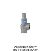 ベン SL40VーD3安全逃し弁 SL40VーD3ー25A 1個（直送品）