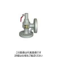 ベン SL43ーG3安全逃し弁 SL43ーG3ー40A 1個（直送品）