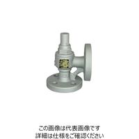 ベン SL44ーG3安全逃し弁 SL44ーG3ー40A 1個（直送品）