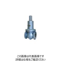 ベン FD2WーBL差圧調整弁 FD2WーBLー20A 1個（直送品）