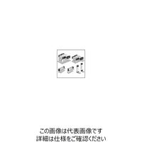 TAIYO（タイヨー） TAIYO エアーバルブ SR562-PTM