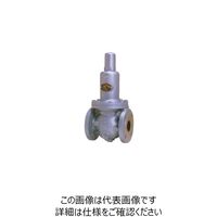 ベン MD14HーBL一次圧力調整弁 MD14HーBLー65A 1個（直送品）