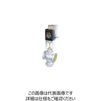 ベン MLFTーBD電動弁 MLFTーBDー50A 1個（直送品）