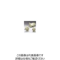 TAIYO エアーモータ TAV5Rー05S TAV5R-05S 1個（直送品）