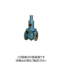 ベン RD14WーBM減圧弁 RD14WーBMー150A 1個（直送品）
