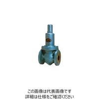 ベン RD14H-BL減圧弁 RD14H-BL-15A 1個（直送品）