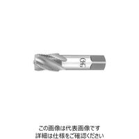 管用テーパタップ(スパイラルタップ短ねじ) SFTーSーTPT 2.5P PT 3/8ー19 SFT-S-TPT 3/8-19 1本（直送品）