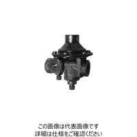 ベン RD25SRN-F水道用減圧弁 RD25SRN-F-20A 1個（直送品）