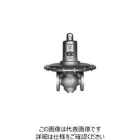 ベン RD29A-GM減圧弁 RD29A-GM-15A 1個（直送品）