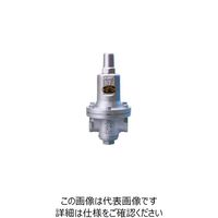ベン RD30ーGL減圧弁 RD30ーGLー40A 1個（直送品）