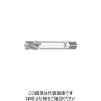 管用テーパタップ（スパイラルタップ ロングシャンク短ねじ） LT-SFT-S-TPT 2.5P PT 1/4-19×100mm（直送品）