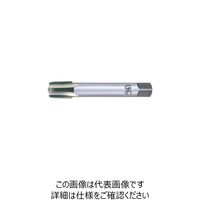 LT-S-TPT 3/4-14X150（直送品）